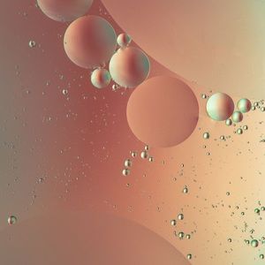 Meet your Posher, Sukhi